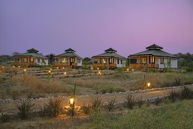 Leopard Safari
