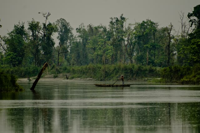 Dibru Saikhowa National Park