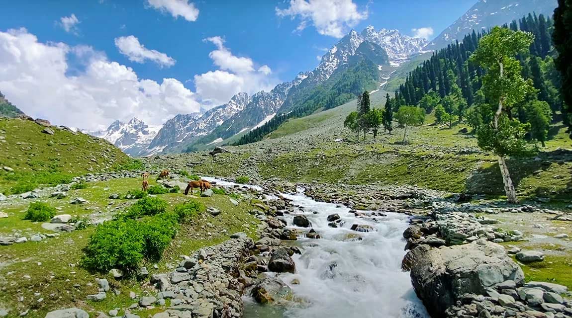 Thajiwas Glacier Trek