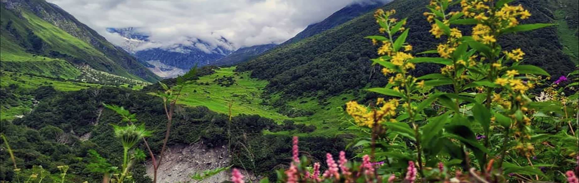 Valley of Flowers