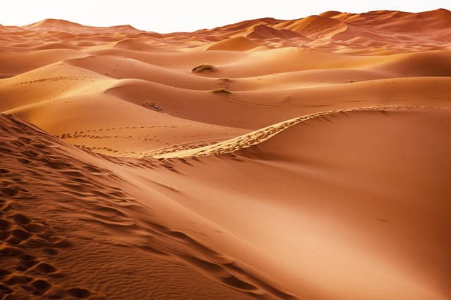 Desert Dunes