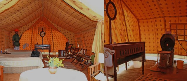 Reggies Camel Camp