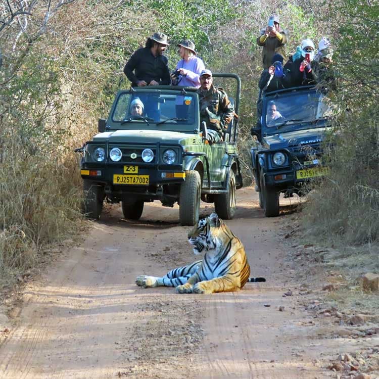 Ranthambore National Park