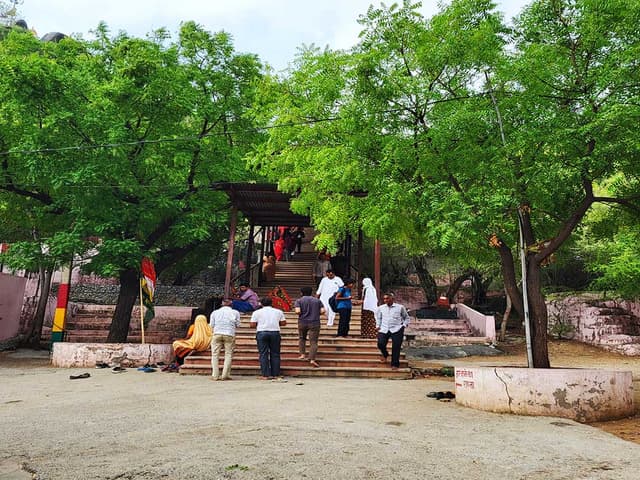 Devmali Cancer Jhada Package (Special) Gallery Image 6