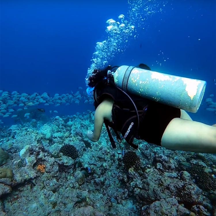 Lakshadweep