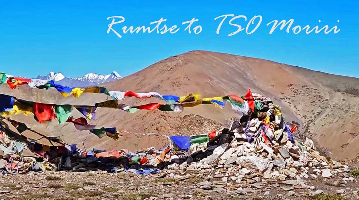 Rumtse to TSO Moriri Trek