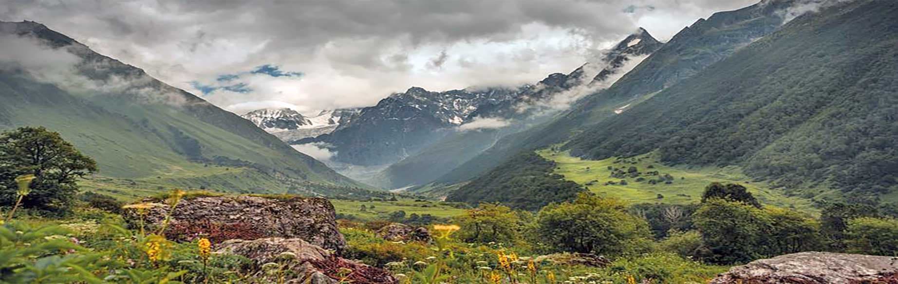 Valley of Flowers