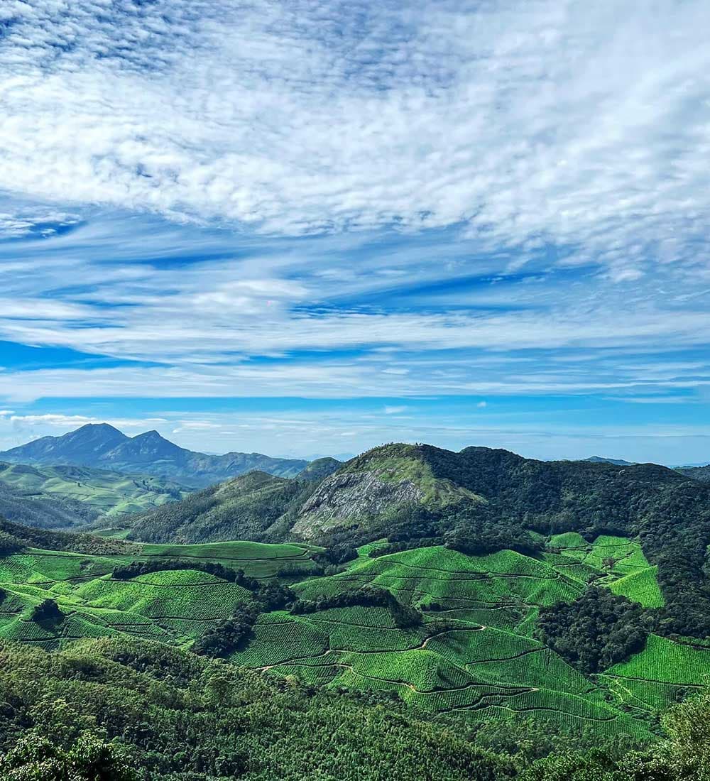 Anamudi Peak Trek