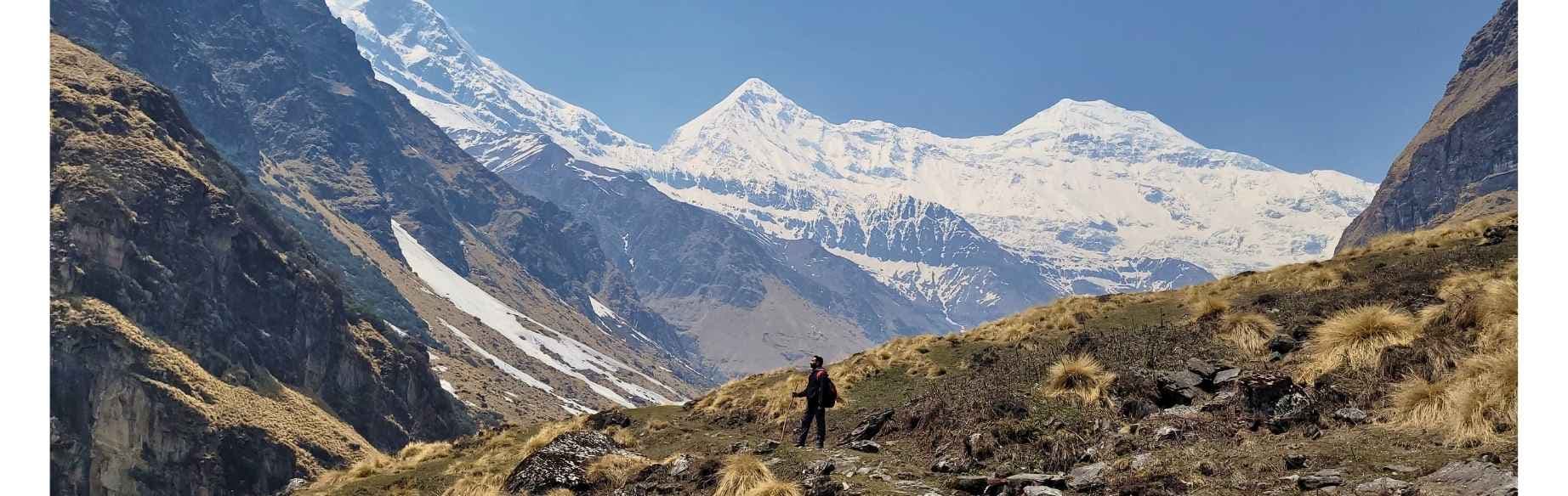Pindari Glacier Trek