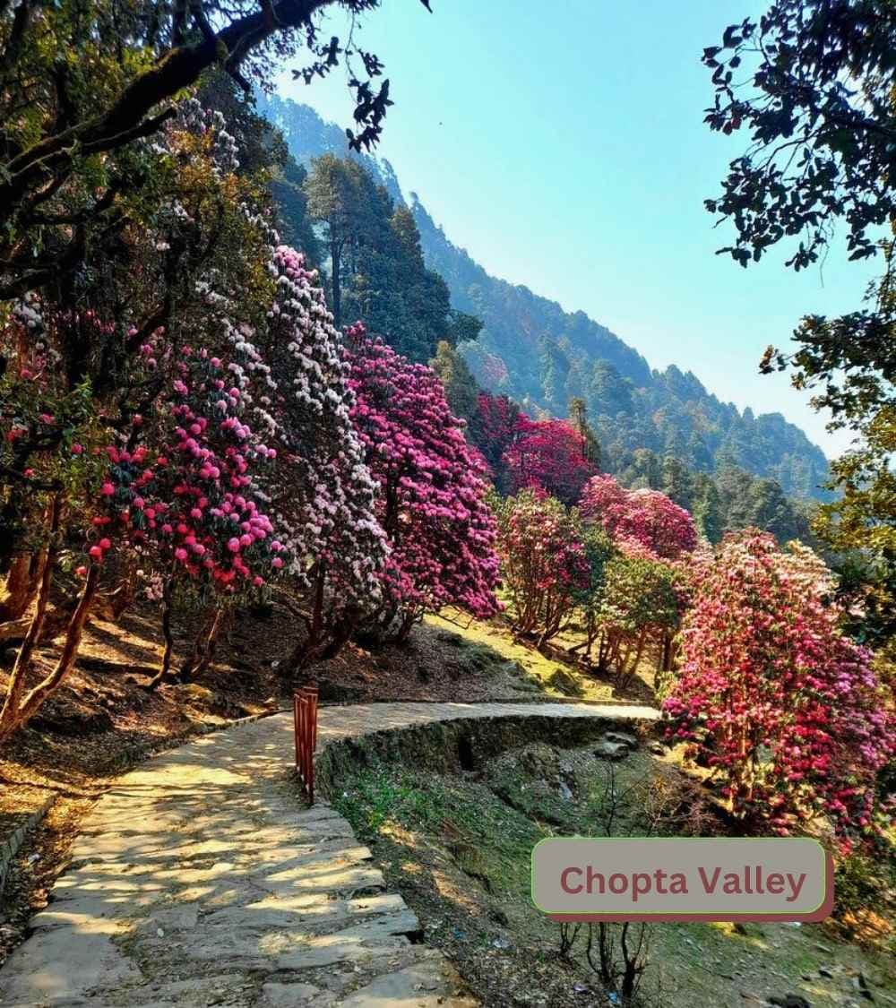 Uttarakhand