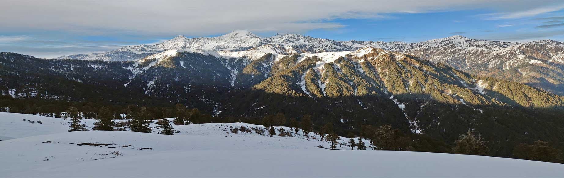 Dayara Bugyal Trek