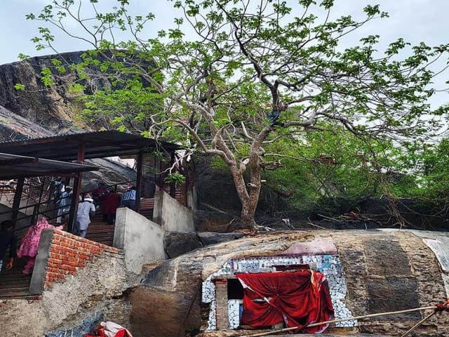 Devmali Cancer Jhada Package (Special) Gallery Image 8