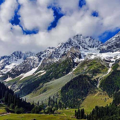 Thajiwas Glacier Trek