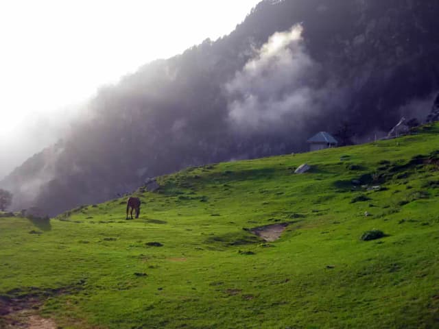 Triund Meadows