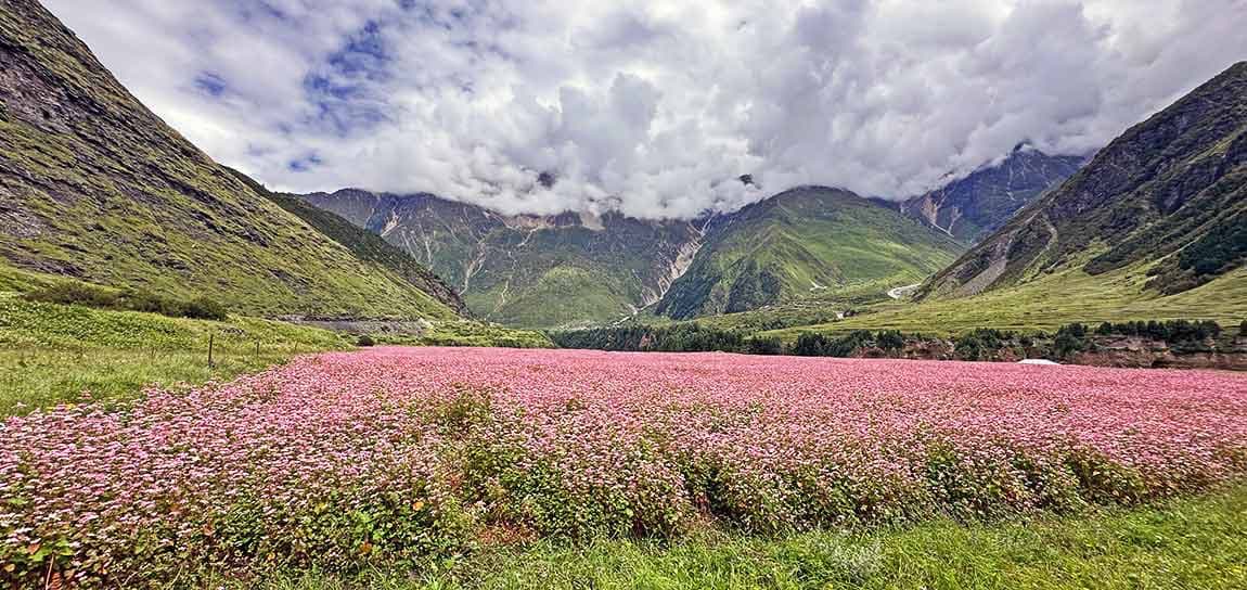 Darma Valley