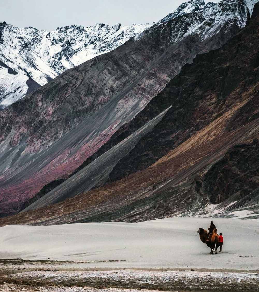 Nubra Valley