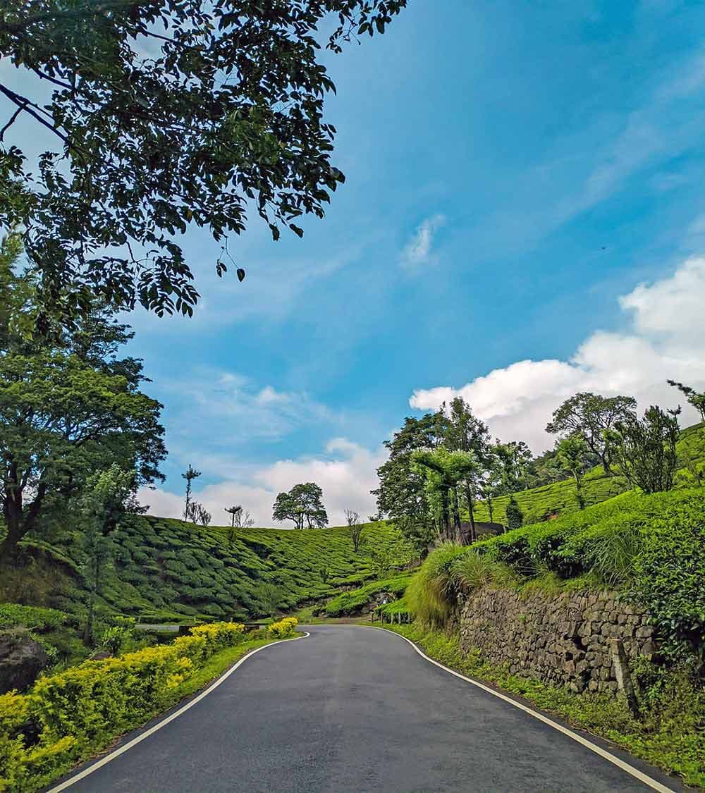 Munnar, Kerala