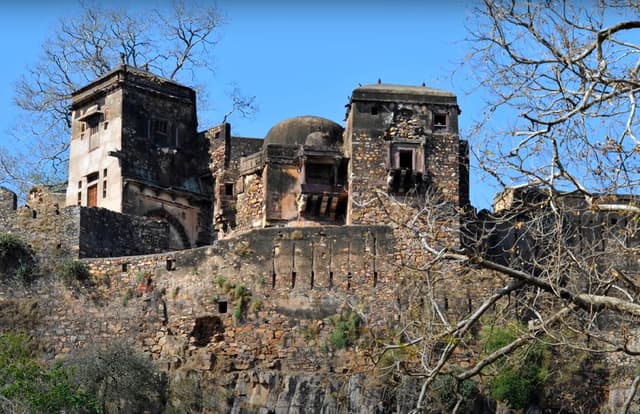 Ranthambhor