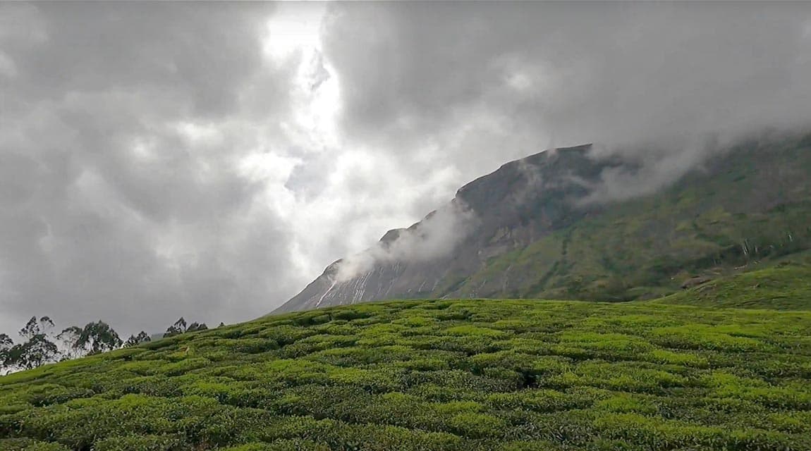 Anamudi Peak Trek
