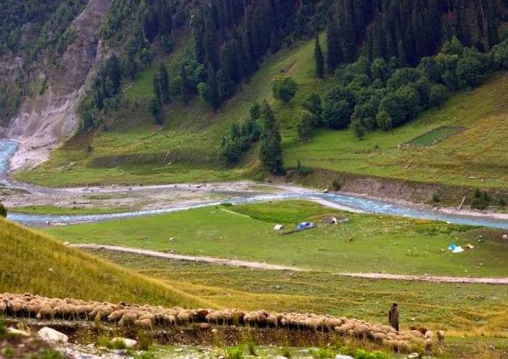 Gurez Valley & Tulail Kashmir 3N-4D Tour Package
