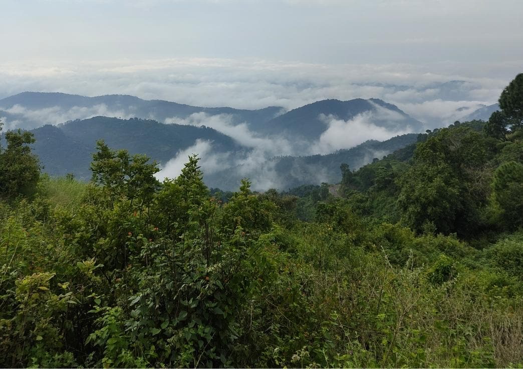 Nahan Hills, Lakes & Heritage 3N-4D Tour Package