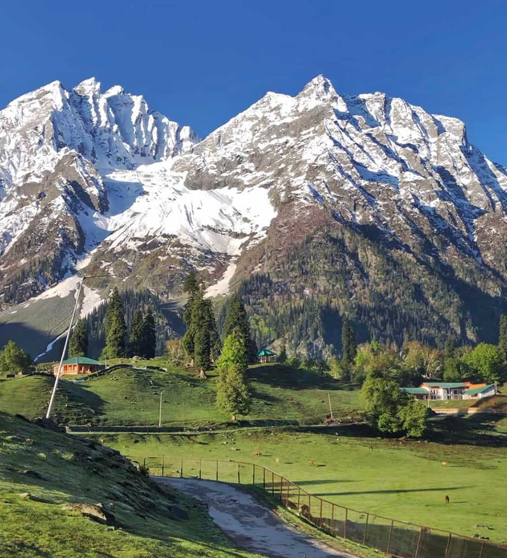 Thajiwas Glacier Trek