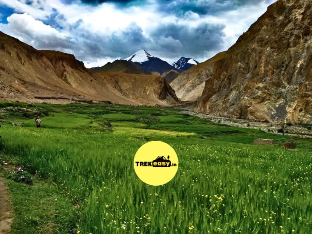 Markha valley