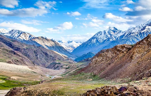 Himalayan