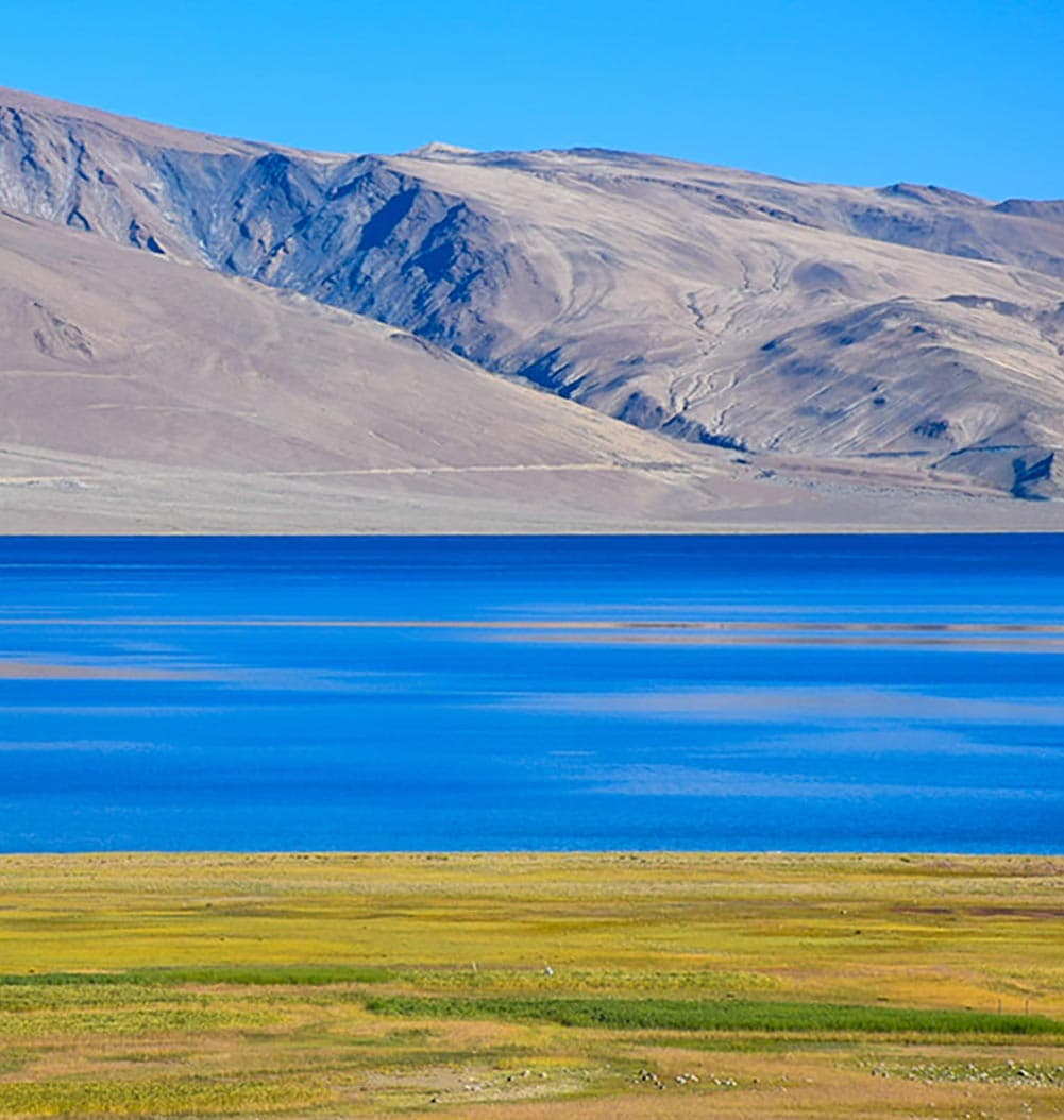Rumtse to TSO Moriri Trek