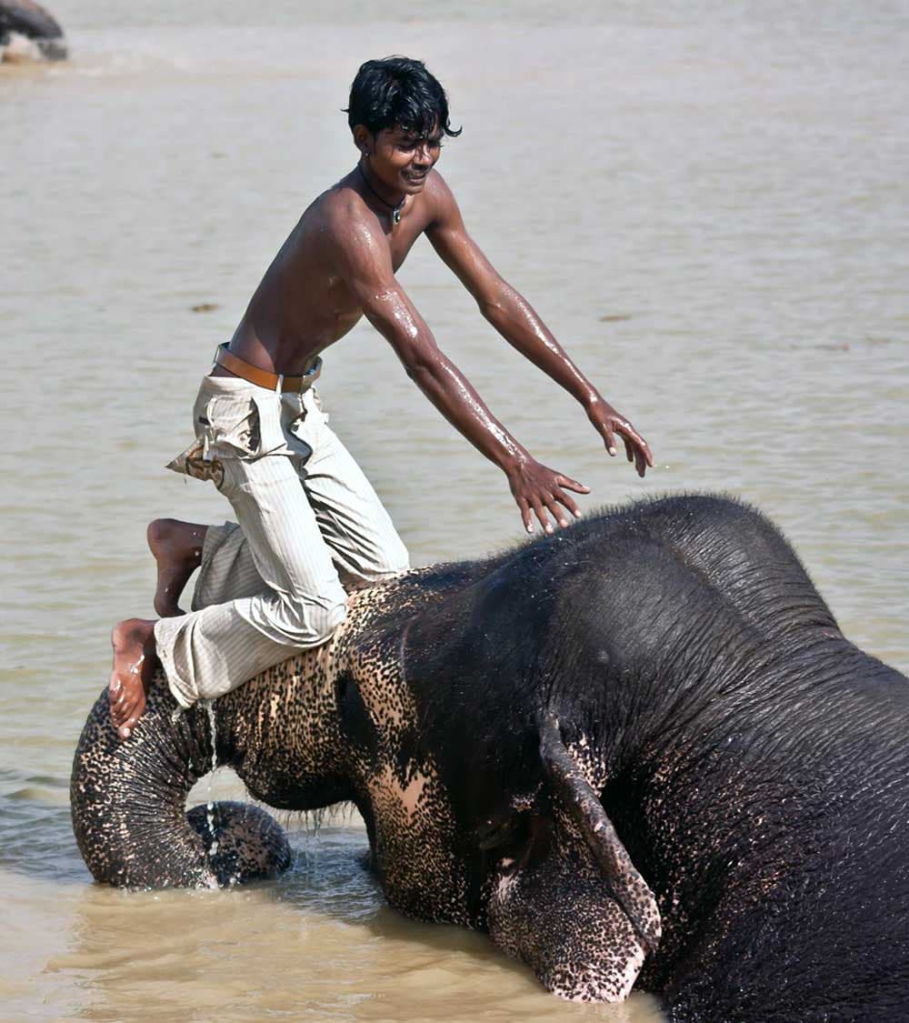 Rajasthan